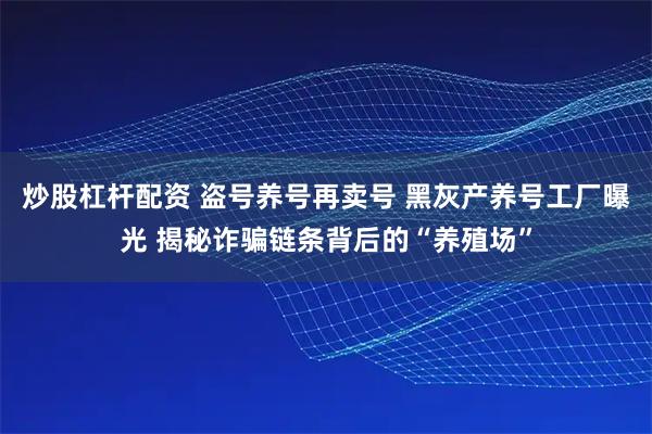 炒股杠杆配资 盗号养号再卖号 黑灰产养号工厂曝光 揭秘诈骗链条背后的“养殖场”