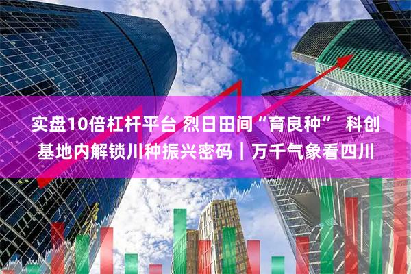实盘10倍杠杆平台 烈日田间“育良种”  科创基地内解锁川种振兴密码｜万千气象看四川